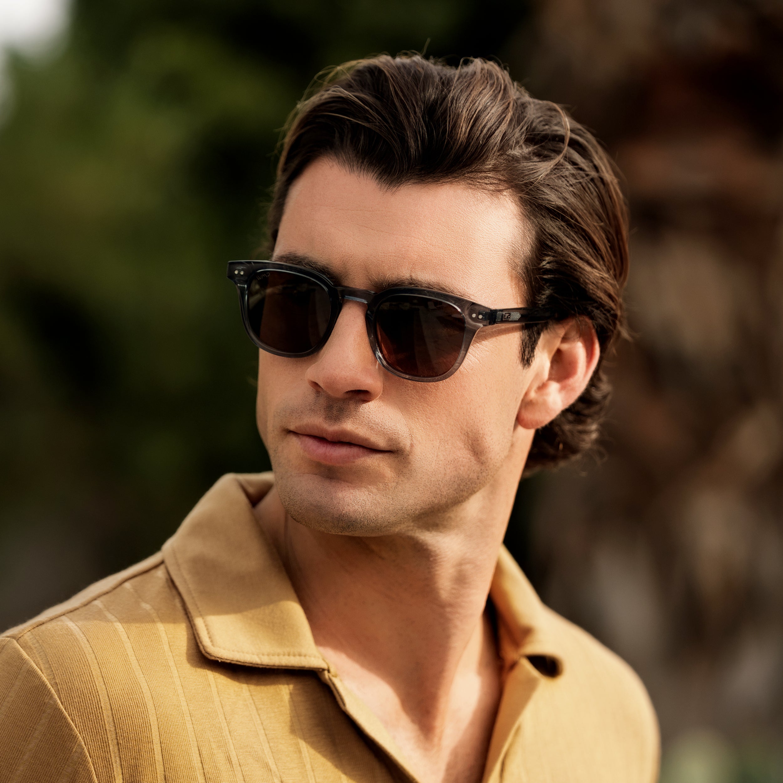 Clark | 1101 Polarized