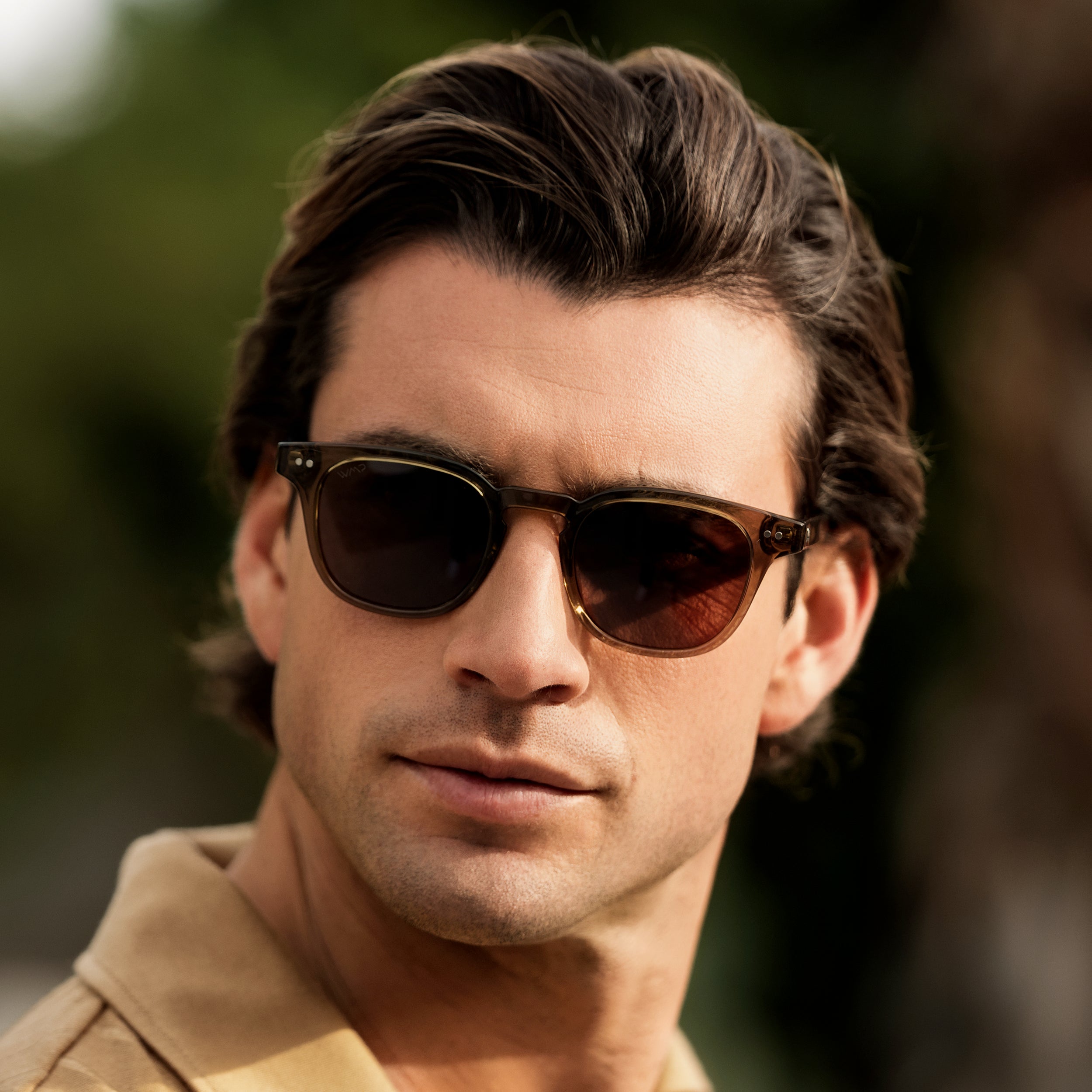 Clark | 1101 Polarized