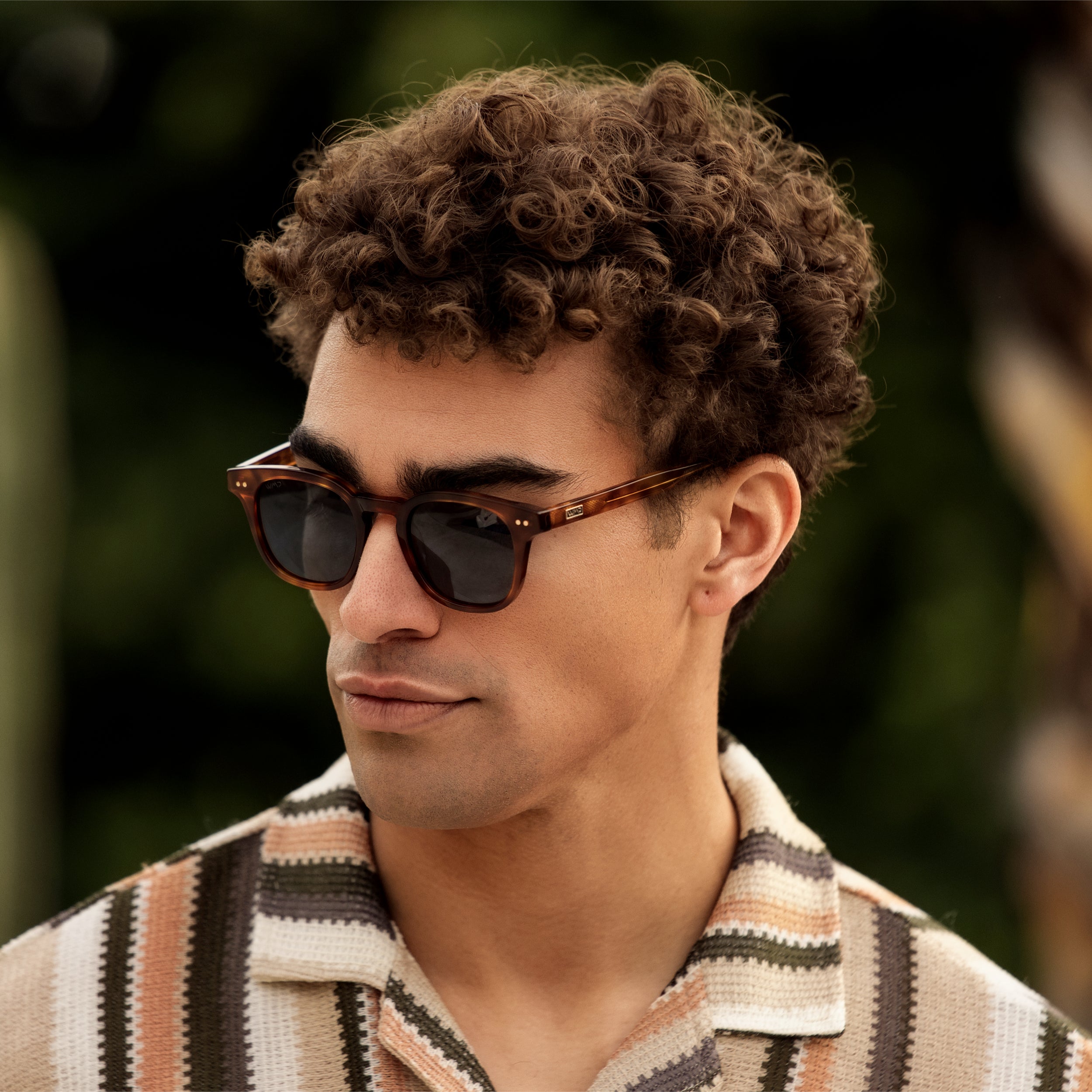 Clark | 1101 Polarized