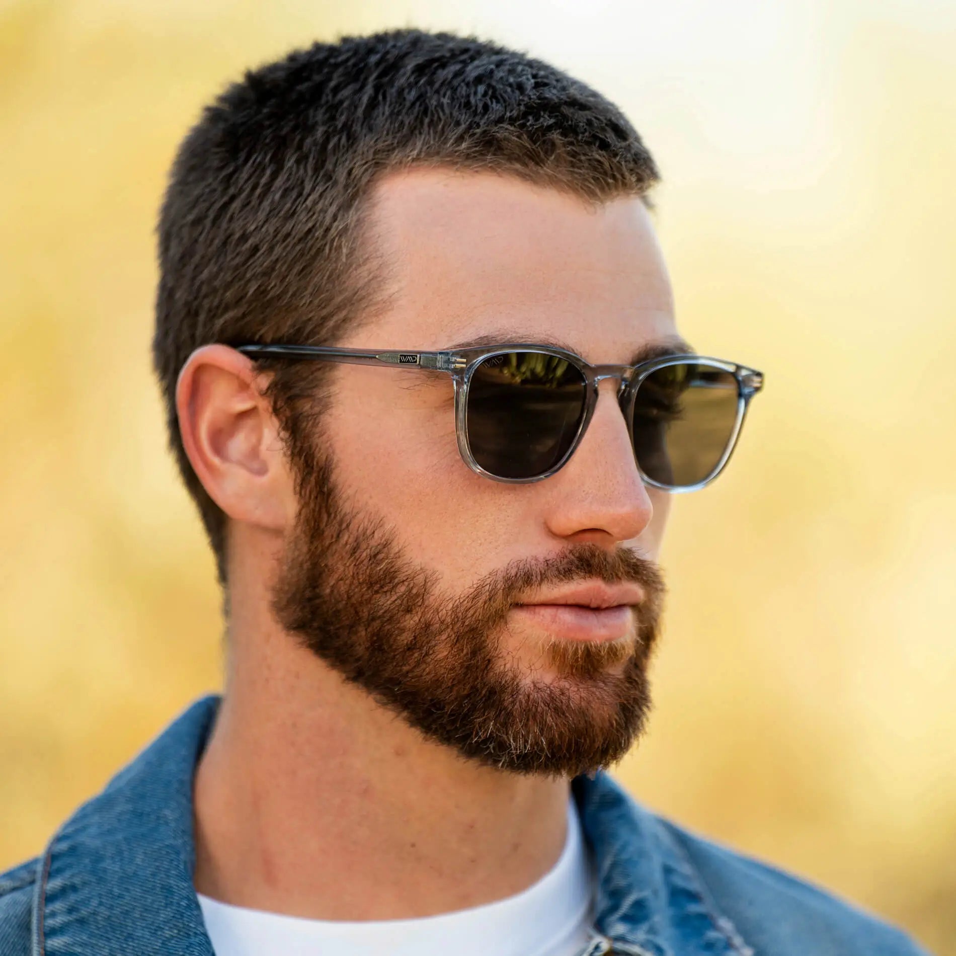 Nick | 1023 Polarized