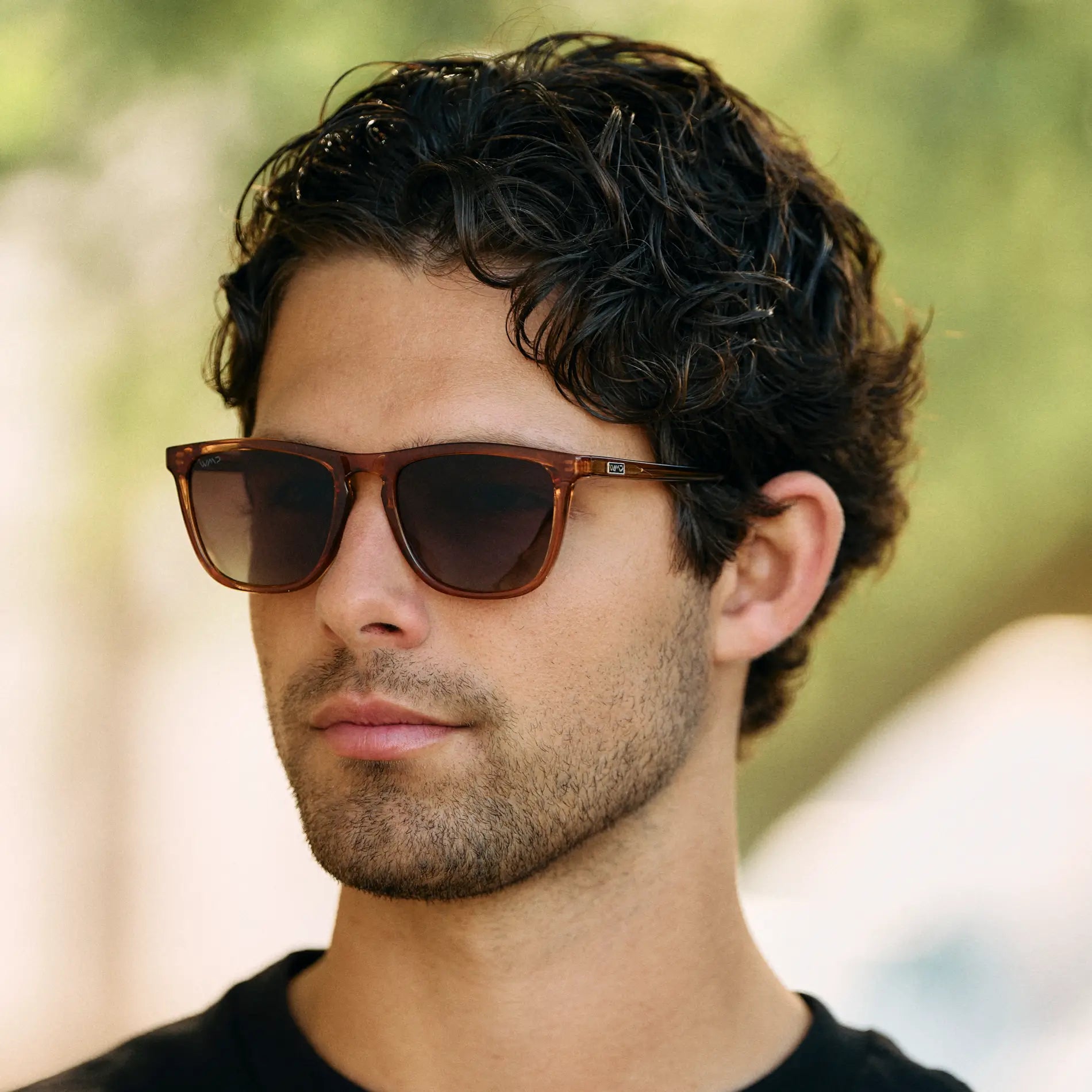 Wesley | 1024 Polarized